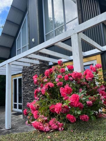 Gondwana Chalet Perfect For All Seasons オハクネ エクステリア 写真